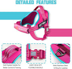 AUROTH Dog Harness and Leash Set, Soft Padded Service Dog Vest with 5.25FT Dog Leash, No Choke, Easy On Pet Vest, Adjustable Reflective No Pull Pet Vest Medium Sized Dog, Easy Walking and Training