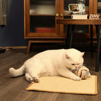 2Pack Cat Scratching Mat,23.6 X 15.7 Inch, Sisal Cat Scrater Mat with Jute Border,Protect Sofas, Carpets,Floor, Bed,and cat Paws,Beige
