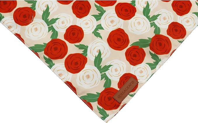Realeaf Spring Dog Bandanas 2 Pack,Floral Pet Scarf for Boy and Girl, Premium Durable Fabric, Seasonal Bandana for Dogs (Small)