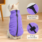 SCENEREAL Winter Coat for Dogs - Warm Jacket with Built-in Harness, Waterproof, Fleece Puffer Vest, Windproof, Snow Clothes for Small to Medium Dogs