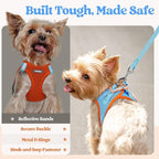 rabbitgoo Dog Harness Small Sized and Leash Set, Step in Soft Light Puppy Vest, Breathable Mesh Pet Harness, Reflective for Safe Easy Walking, Blue & Orange M