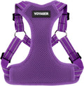 Best Pet Supplies Voyager Adjustable Step-in Flex Breathable Mesh Dog Harness for Small Medium Large Dogs (Purple), XS