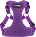 Best Pet Supplies Voyager Adjustable Step-in Flex Breathable Mesh Dog Harness for Small Medium Large Dogs (Purple), XS