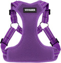 Best Pet Supplies Voyager Adjustable Step-in Flex Breathable Mesh Dog Harness for Small Medium Large Dogs (Purple), XL