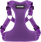 Best Pet Supplies Voyager Adjustable Step-In Flex Breathable Mesh Dog Harness for Small Medium Large Dogs (Purple), M