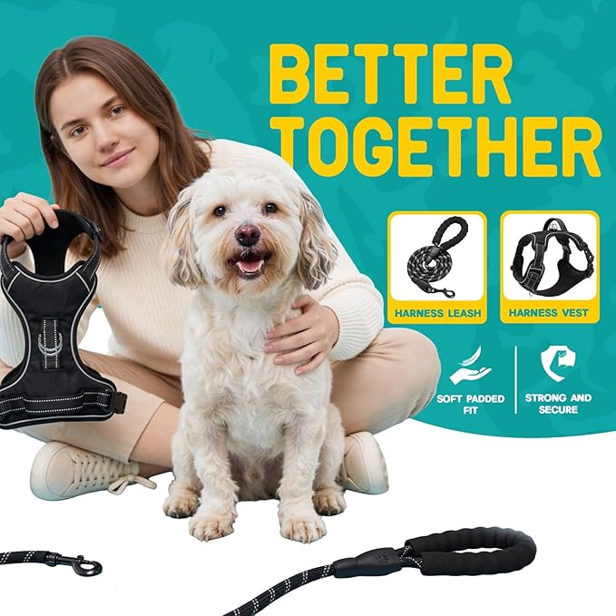 No Pull Dog Harness and Leash Set for Small Dogs – Adjustable Reflective Breathable Soft Padded Easy Control Dog Harness for Training & Walking, Black (Small)