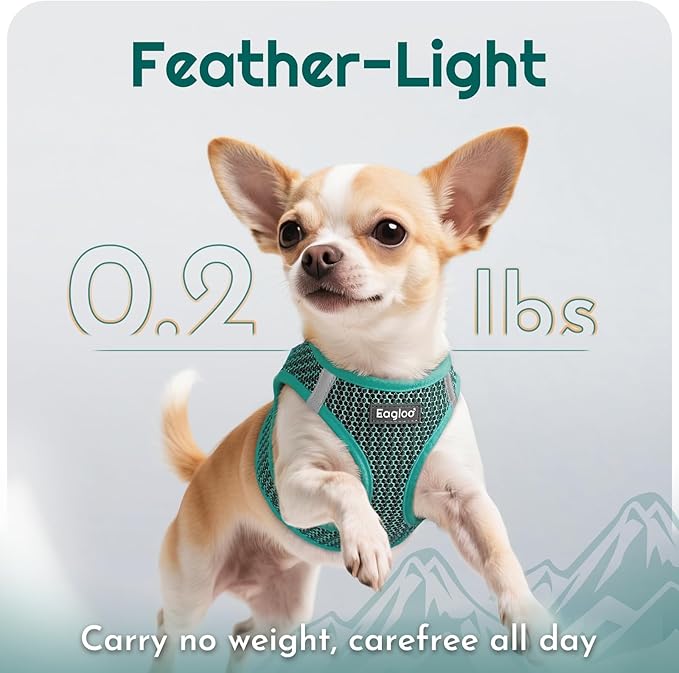 Eagloo Small Dog Harness and Leash Set, Step in Puppy Vest with Breathable Soft Mesh, Walking Reflective Pet Harness for Small Dogs, Forest Green, S
