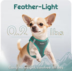 Eagloo Small Dog Harness and Leash Set, Step in Puppy Vest with Breathable Soft Mesh, Walking Reflective Pet Harness for Small Dogs, Forest Green, L