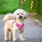 BARKBAY No Pull Dog Harness Large Reflective Dog Harness with Front Clip and Easy Control Handle for Walking Training Running with ID tag Pocket(Pink,S)
