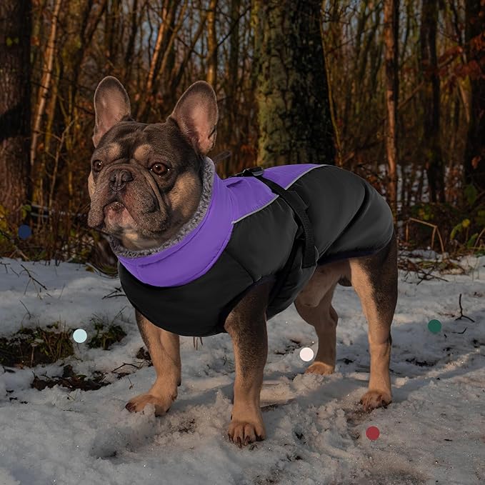 IECOii Extra Warm Dog Coat - Reflective Adjustable Dog Jacket with Buckle Fleece Turtleneck for Cold Weather - Soft Winter Coat for Small, Medium, Extra Large Dogs