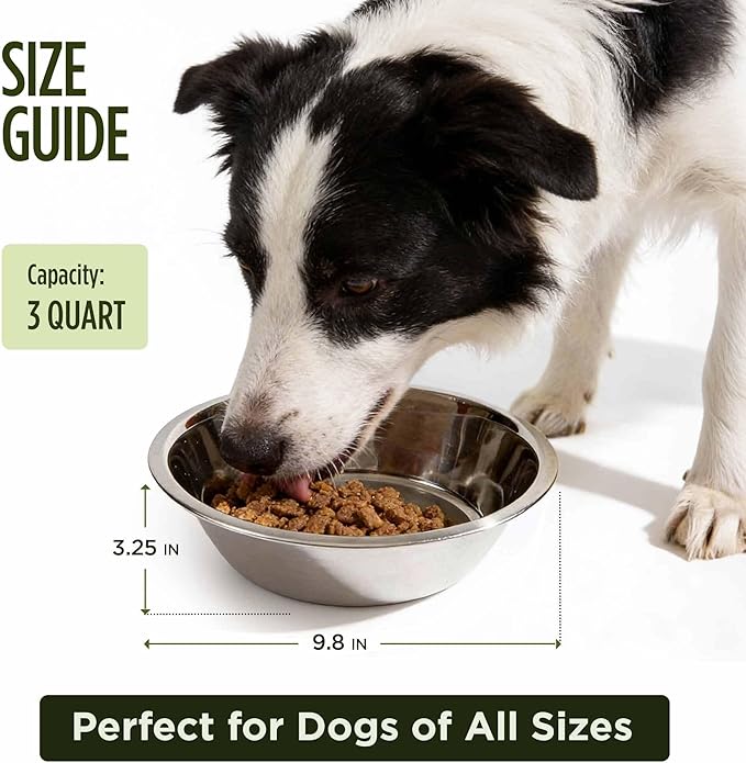 Scott Pet Bowl, Stainless Steel Pet Water and Food Bowl, 3 Quarts (9.81 x 9.81 x 3.25 Inches, 0.42 lbs), Dishwasher Safe, Rust Resistant, Silver