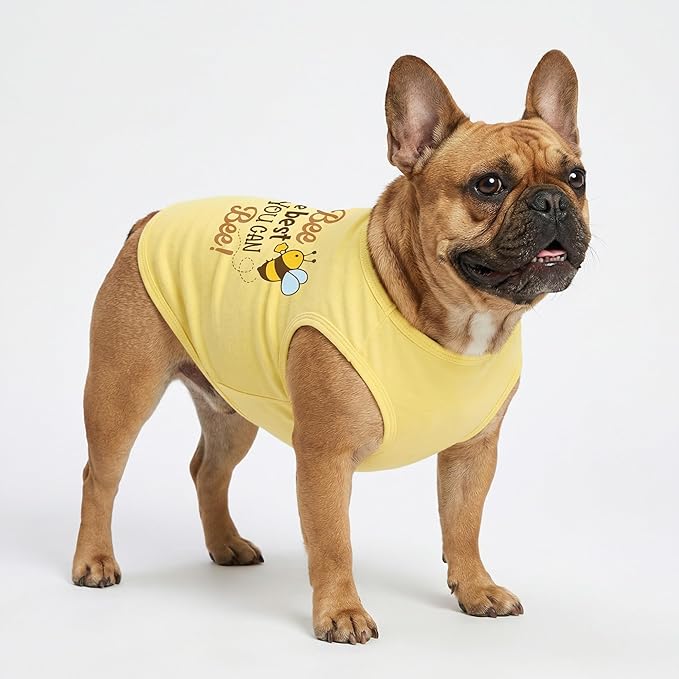 Fitwarm Bee the Best You Can Dog Shirt, Summer Clothes for Small Dogs Boy Girl, Funny Pet Outfit, Yellow, Brown, Blue, Large