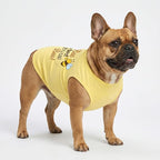 Fitwarm Bee the Best You Can Dog Shirt, Summer Clothes for Small Dogs Boy Girl, Funny Pet Outfit, Yellow, Brown, Blue, XL