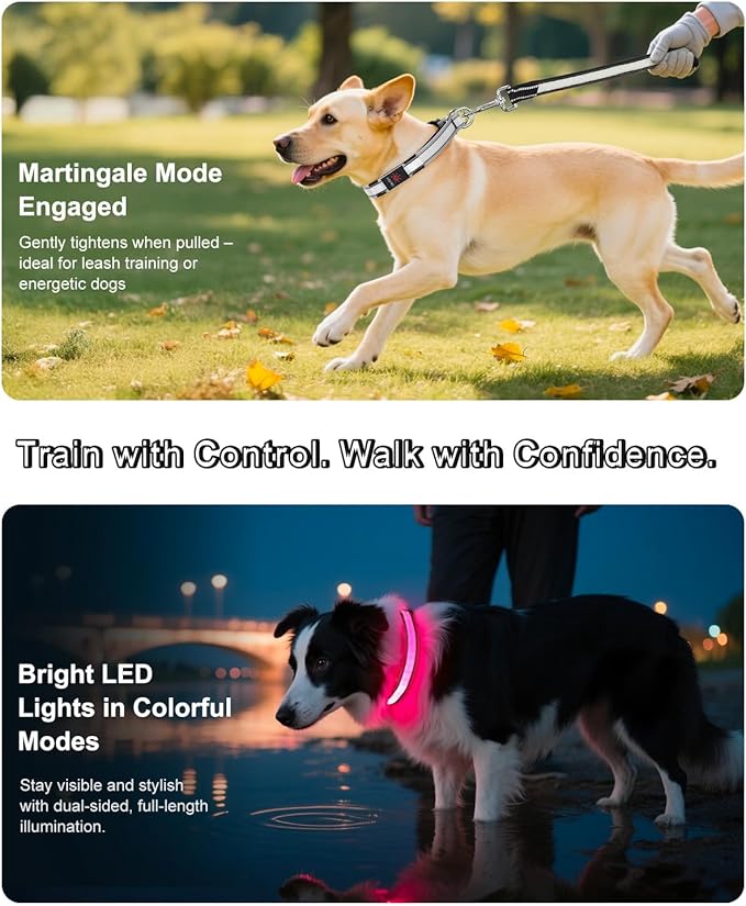 Light-Up Martingale Collar for Dogs Multi-Color, No Pull Adjustable Collars with Buckle, LED Reflective Choke Collar, Rechargeable Lighted Training Dog Collar for Small Medium Large Dogs-Medium