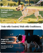 Light-Up Martingale Collar for Dogs Multi-Color, No Pull Adjustable Collars with Buckle, LED Reflective Choke Collar, Rechargeable Lighted Training Dog Collar for Small Medium Large Dogs-Medium