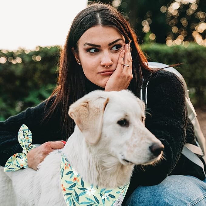 E-Clover Dog Bandanas & Matching Scrunchie Set Girl Dog Bandana Scarf Washable Kerchief Bibs for Medium Large Dogs Pet Owner Birthday Gift Green