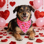 Elegant little tail Valentine's Dog Bandana - Red Heart Pet Bandanas Washable Bib Kerchief Scarf Cute Adjustable Pet Bandanas for Small Medium Dogs
