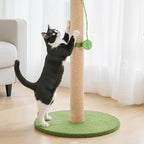 Cat Scratching Post 33 Inch, Cat Tree with Dangling Ball for Indoor Cats and Kittens, Green