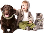 Metal Diamond Dog Chain Dog Training Chain with Secure Buckle Pet Collars for Large Medium Dogs