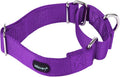 Mikivery Martingale Dog Collar Nylon Adjustable and Safety Training Colourful Comfortable Metal Buckle Pet Collars for Small Medium and Large Dogs(Purple 1,M)
