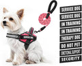 Service Dog Vest Harness and Leash Set, Animire in Training Dog Harness with 10 Dog Patches, Reflective Dog Leash with Soft Padded Handle for Small, Medium, Large, and Extra-Large Dogs