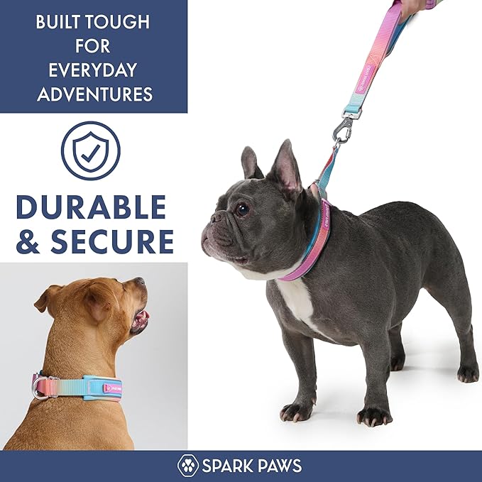 Spark Paws Martingale Dog Collar – Cushioned Slip-On Training Collar, Heavy Duty, Safety-Tested No-Buckle Collar for Medium & Large Dogs - Pastel Icing - D
