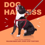 Didog Step in Dog Harness with Metal Buckles, Freedom Nylon Dog Halter Vests for Small Dogs Easy Walking Training(S:Chest 13-22", Red)