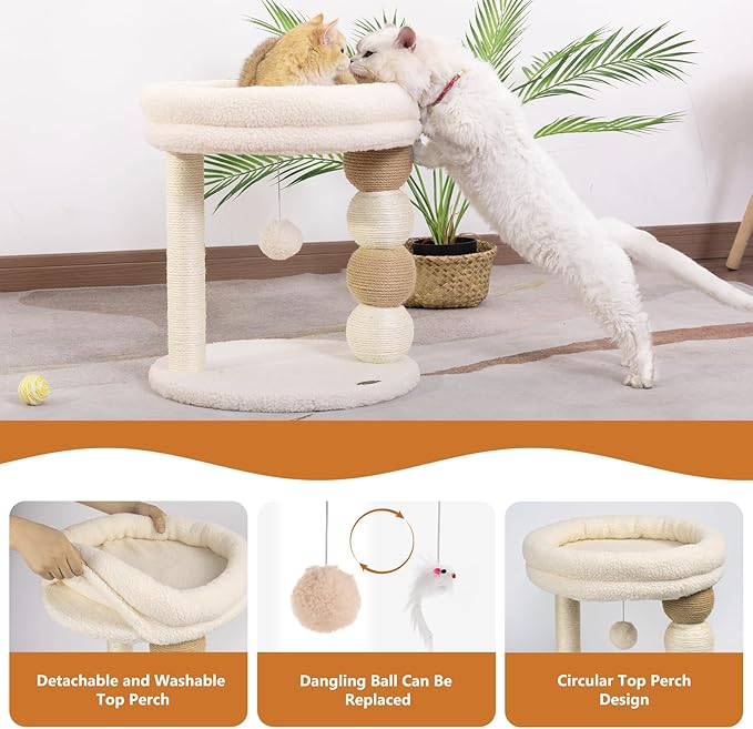 Small Cat Tree for Indoor Cats with Large Cozy Plush Top Perch, Natural Sisal Scratching Posts for Kittens and Cats