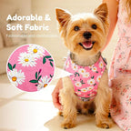 BAEJMJK Dog Harness and Leash Set with Bow Knot No Pull Pet Daisy Floral Harness with D-Ring Soft Mesh Dog Harness Vest Set Escape Proof Princess Puppy Harness for Small Girl Dogs Cats（Pink XS）