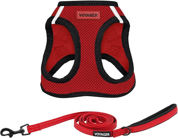 Best Pet Supplies Voyager Step-in Air All Weather Mesh Harness and Reflective Dog 5 ft Leash Combo with Neoprene Handle, for Small, Medium and Large Breed Puppies - Red/Black Trim, Small