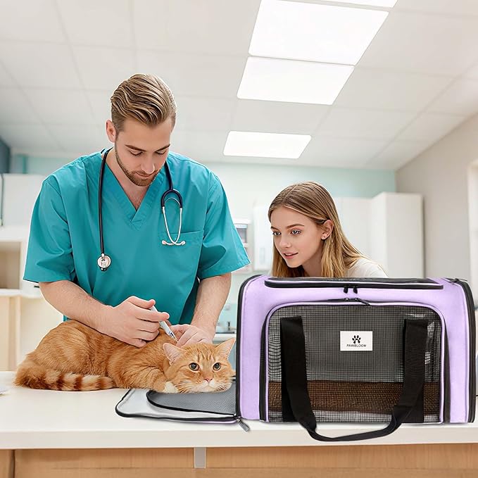 Cat Carrier Dog Carrier - Soft-Sided Cat Carrier with Plush Pad & Cooling Mat, Easy-Load 4-Side Zipper & 3-Side Mesh Ventilation, Pet Carrier Airline Approved for Cats/Dogs Up to 16 lbs, Purple