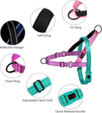 Didog No Pull Dog Harness with Soft Padded Handle, Quick Fit & Lightweight Adjustable Vest Harness, Easy for Training Walking for Small & Medium and Large Dogs(Dark Green,M)