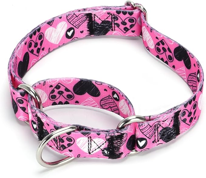 Serijoars Adjustable Martingale Dog Collar Heavy Duty Nylon Dog Collar for Medium Large Dogs Walking Training Boy and Girl Dogs (NO16, M)
