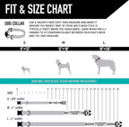 Wolfgang Heavy Duty, Adjustable Dog Collar with Quick Release Nylon Buckle for Walking & Training, DarkFloral Print, Small
