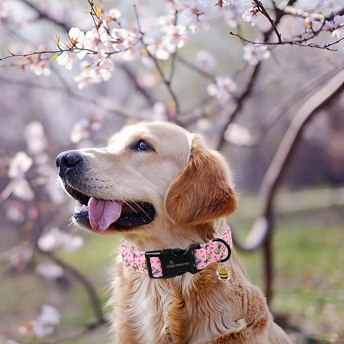 ARING PET Bee Dog Collar, Cute Spring Summer Pink Yellow Honeybees Pet Collars for Puppy Small Medium Large Boy Girl Dogs-M