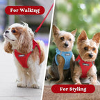 rabbitgoo Small Dog Harness, Step-in Soft Mesh Puppy Vest with Safety Buckle, Breathable Reflective Pet Harness for Small Sized Dogs, Red XS