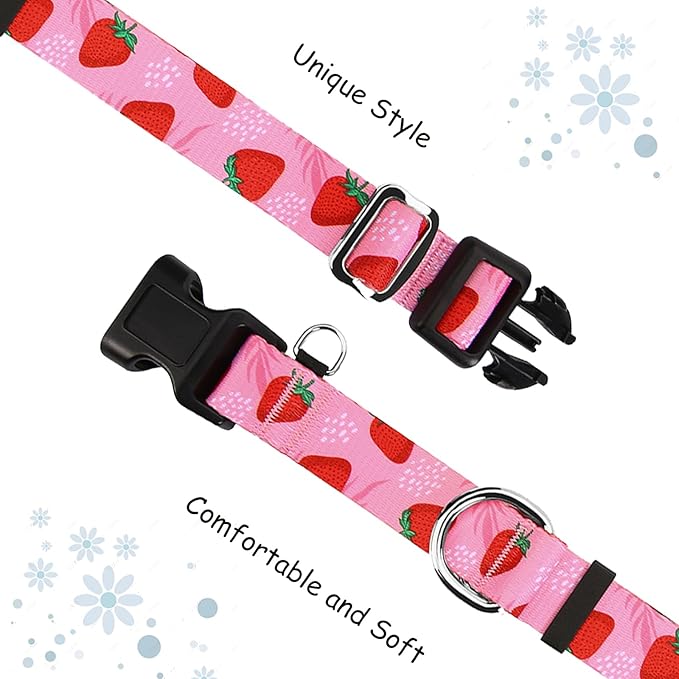 Martingale Collar for Dogs with Buckle Nylon Limited Slip No Pull Training Dog Collars (Pink Strawberry, XSmall)