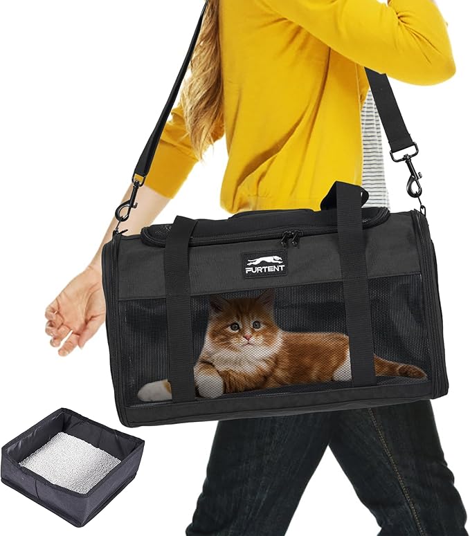 TSA Approved Pet Carrier for Small Cats and Puppies, Soft-Sided and Foldable, Cat and Dog Carrier Fits Pets Up to 15 lbs, Durable Portable Travel Bag with Litter Box (Black, Litter Box & Leash Set)