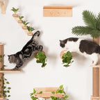 Meowoou 2PCS Cat Wall Shelves, 11.8 Inch Steps, Cats Wall Furniture Stairs for Wall-Mounted with Jute Scratching Cats Shelf for Most Kitten, Large Cat