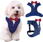 AVERYDAY Dog Tuxedo for Wedding Outfit, Dog Suit and Tie Costumes for Birthday, Halloween, Cosplay, Christmas Party, Pet Formal Wear with Bowtie, Tux for Small Dogs, Chihuahua, Bichon, Maltese, Cats