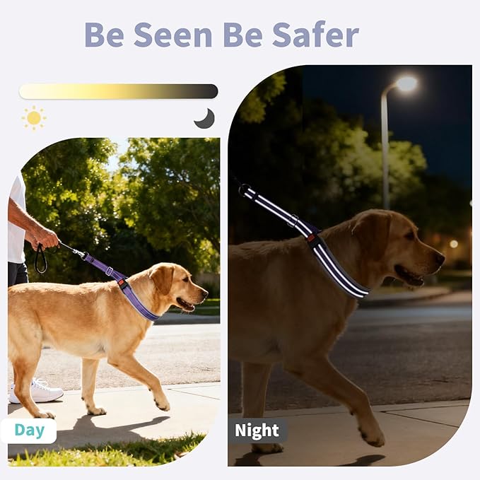 Mayerzon Martingale Dog Collar for Pulling, Patented No Pull Training Walking Collar with Buckle for Medium Large Dogs Bulldog Pitbull German Shepherd, Reflective, Adjustable, Heavy-Duty(L, Purple)