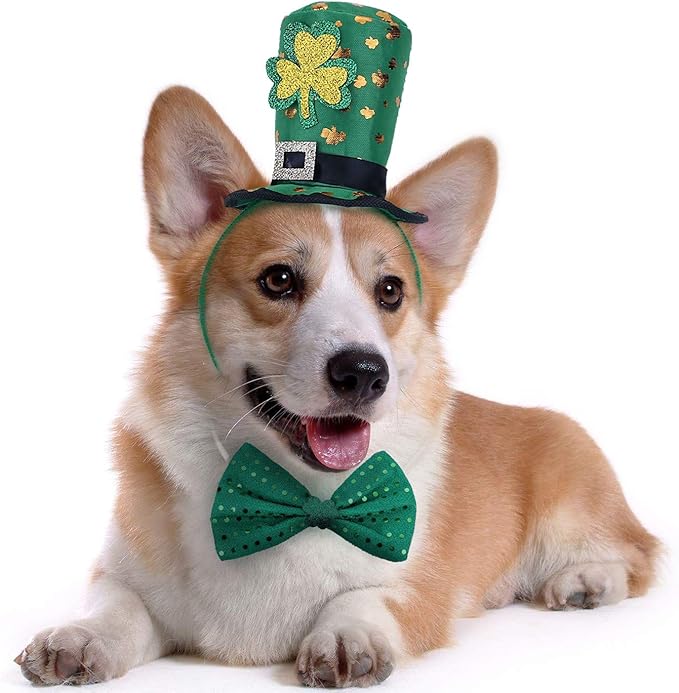 St Patricks Day Dog Costume - St. Patty's Day Doggie Headband and Green Bow Tie Kit