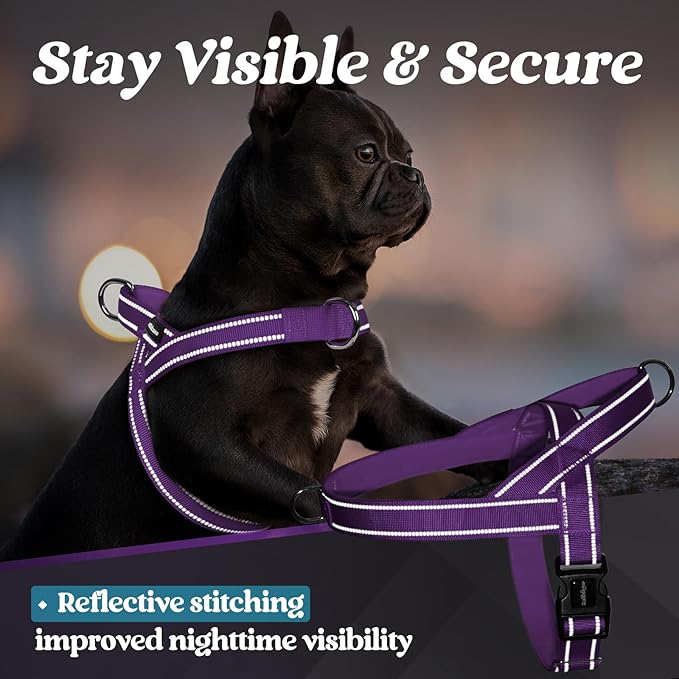 rabbitgoo Dog Harness No Pull, Quick Fit for Large Dogs with Soft Padded Handle, Chest Adjustable Reflective Pet Vest, No Choke Escape Proof for Walking Training, Purple XL