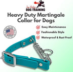 Martingale Collar for Dogs, Biothane, Stainless Steel Hardware, No Pull, Made in The USA, Professional Grade, Large, Teal