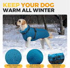 Lelepet Dog Coat for Large Dogs Waterproof Dog Jacket with Harness Built in Reflective Windproof Fleece Jacket with Zip Warm Winter Coats for Dogs Cozy Thermal Pet Snowsuit, Border Collie, Blue, XL
