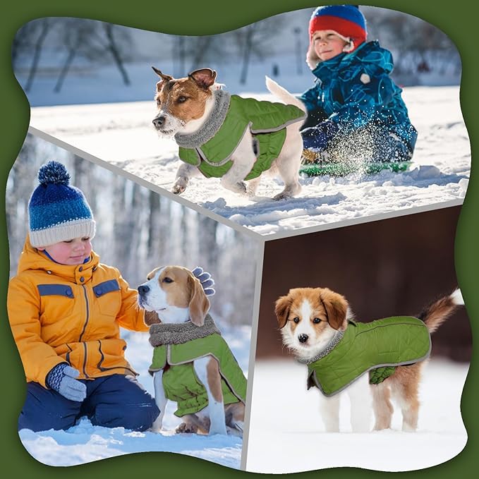 Fragralley Dog Winter Coat, Waterproof Windproof Reflective Fleece Jacket with Harness Hole, Warm Snow Vest for Small Medium Large Dogs, Ideal Gifts