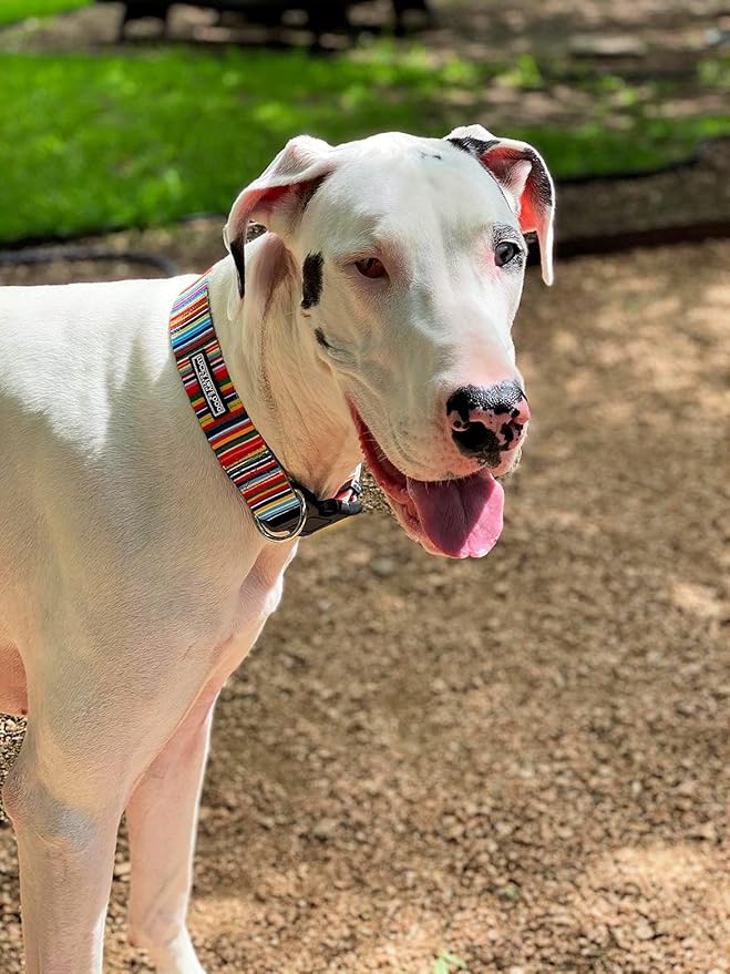 Lucky Love Dog Wide Dog Collar - Adjustable, Durable, Soft Webbing, & Comfortable 1.5 inch Wide Collar for Dogs Male and Female with Strong Buckle - Hippie, Medium