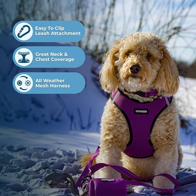 Best Pet Supplies - All Weather Mesh/Plush, Reflective, No Pull Harness for Small, Medium Dogs, Cats - Secure with Hook & Loop Fastener, Buckle, Double D-Rings - Purple/Black Trim, L
