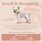 rabbitgoo Small Dog Harness, Step-in Soft Mesh Puppy Vest with Safety Buckle, Breathable Reflective Pet Harness for Extra Small Dogs, Pink XXXS