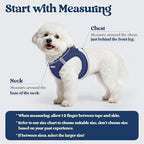 rabbitgoo Dog Harness Small Sized and Leash Set, Step in Soft Light Puppy Vest, Breathable Mesh Pet Harness, Reflective for Outdoor Safe Walking, Navy Blue XL